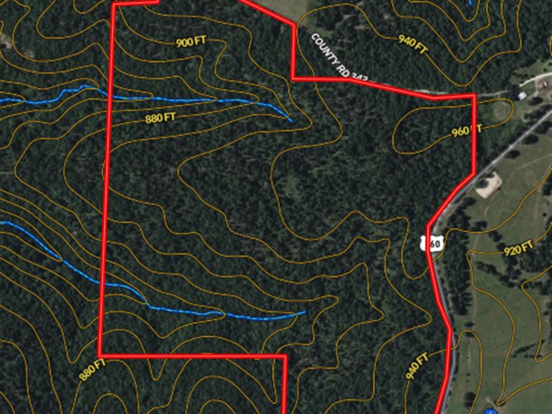 Wooded Land for Sale, Hunting in M : Dora : Ozark County : Missouri