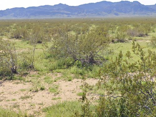 Hot Land Deal Alert : Golden Valley : Mohave County : Arizona