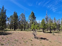Your Off-Grid Retreat Starts Here : Alturas : Modoc County : California