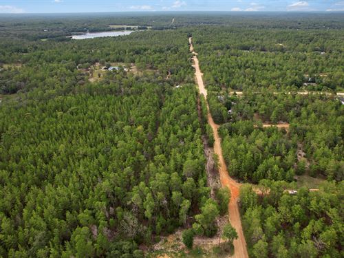 Gentle Sloped Lot Near Lakes : Interlachen : Putnam County : Florida