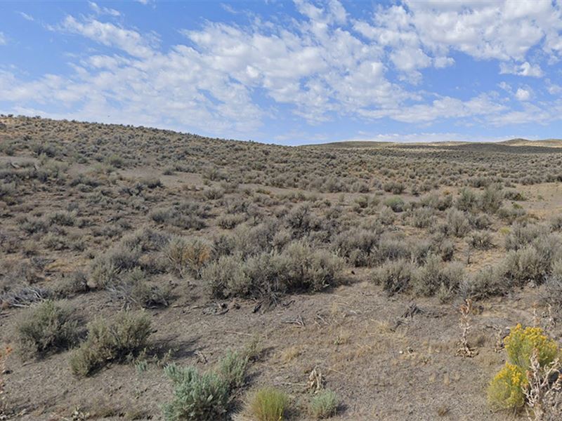 This Land Deserves Your Savings Now : Elko : Elko County : Nevada