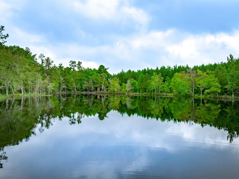 Thornhill Tract : Kershaw : Kershaw County : South Carolina
