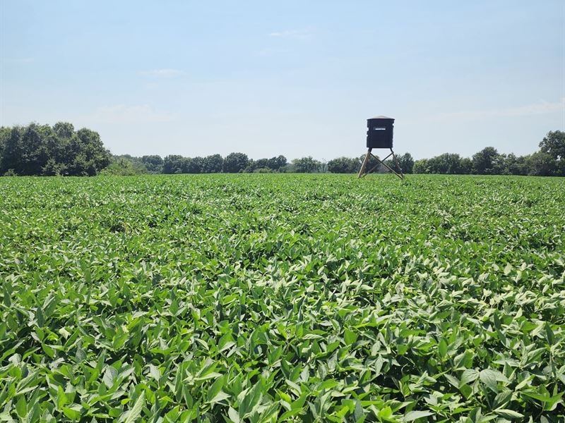 120 Ac Linn Co. Exceptional Hunting : Browning : Linn County : Missouri