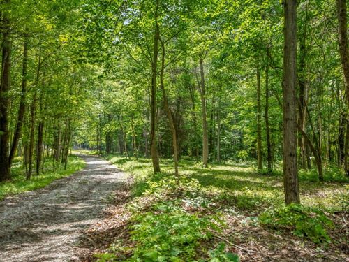 Potts Hill Rd, 13 Acres : Bainbridge : Ross County : Ohio