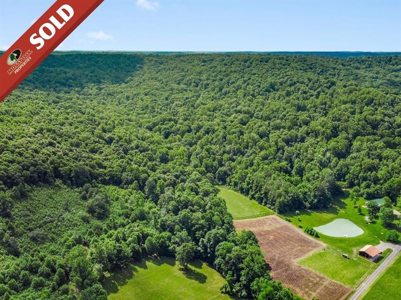 Schmidt Rd, 52 Acres : Bainbridge : Pike County : Ohio