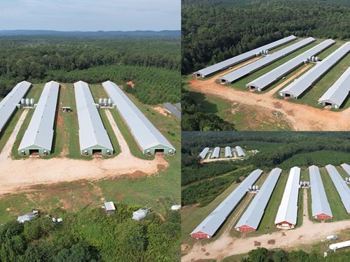 Price Reduced, Haddock Farm : Barnesville : Lamar County : Georgia