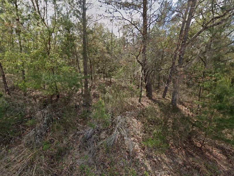 Interlachen Investment $199 Down : Interlachen : Putnam County : Florida