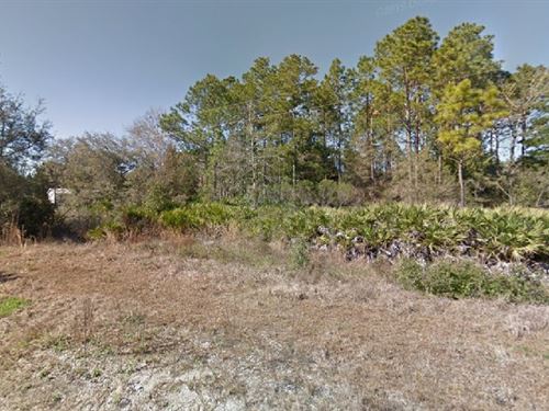 R-2 Zoned Land, $199 Down : Interlachen : Putnam County : Florida