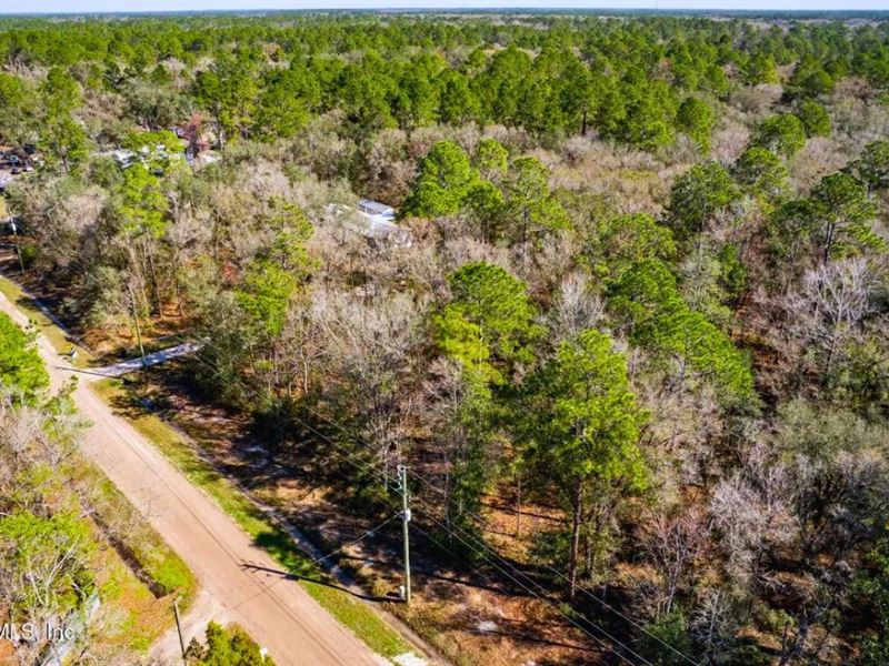 Privacy & Space Only $199 Down : Flagler Estates : Flagler County : Florida