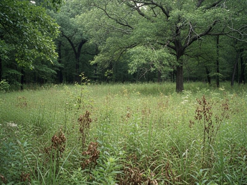 44 Acres in Colleton County SC : Smoaks : Colleton County : South Carolina