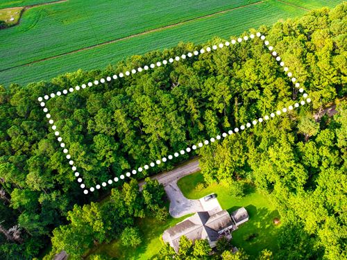 Wooded Hideaway Near Smith Creek : Oriental : Pamlico County : North Carolina