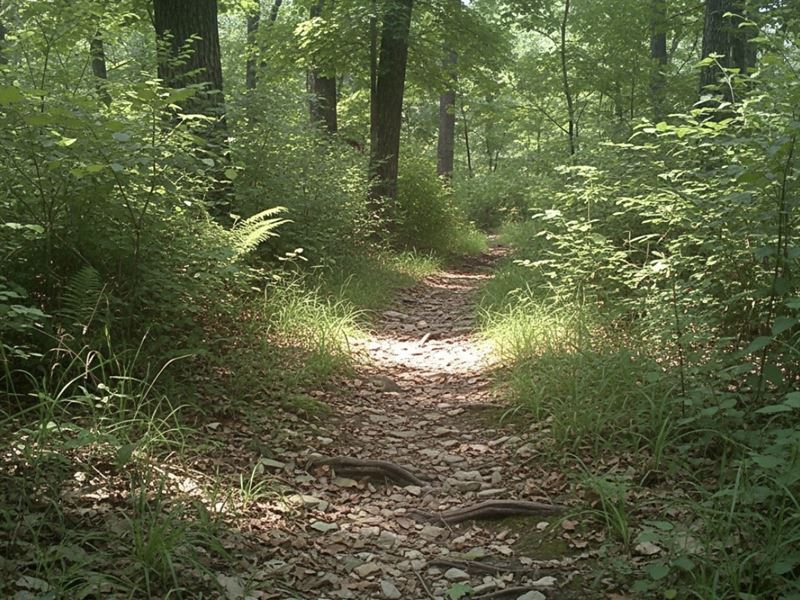 Off-Market 16.9 Acre Wooded Tract : Columbia : Maury County : Tennessee