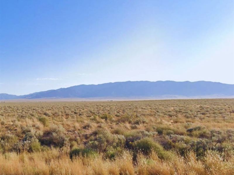 5 Acres Only 57 Min to Albuquerque : Belen : Valencia County : New Mexico
