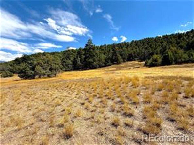 Private 10- Acre Retreat : Howard : Fremont County : Colorado