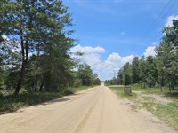 Double Lot with Big Flexibility : Hawthorne : Putnam County : Florida