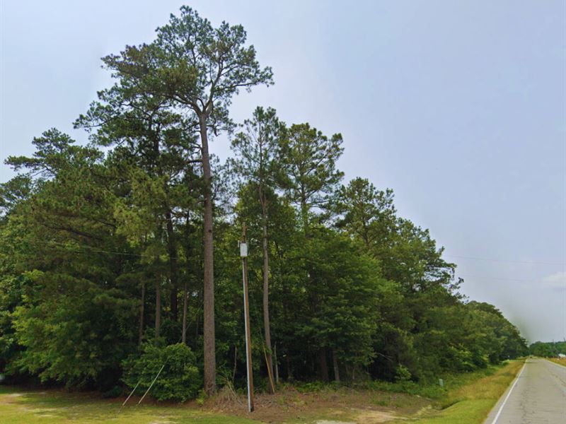 1 Acre Only 9 Mins to Jackson : Rich Square : Northampton County : North Carolina
