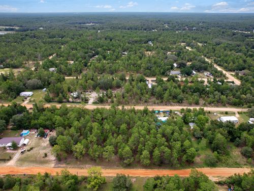 Double Lot Build, Split, or Hold : Interlachen : Putnam County : Florida