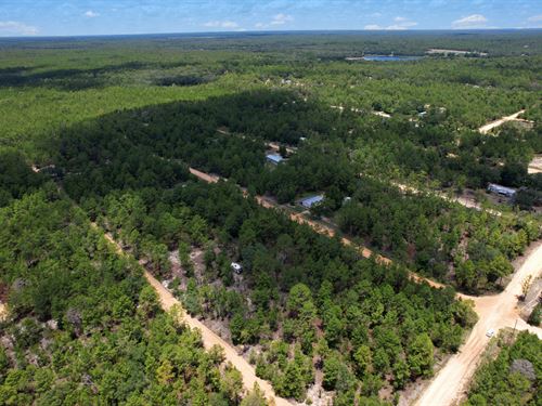 Own The Block, Lakes & Legacy Await : Interlachen : Putnam County : Florida