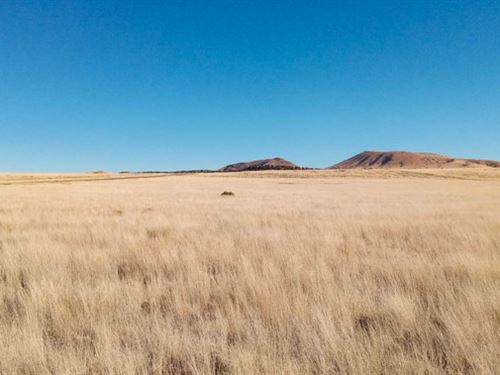 Giddy up at The Navajo County Fair : Concho : Apache County : Arizona
