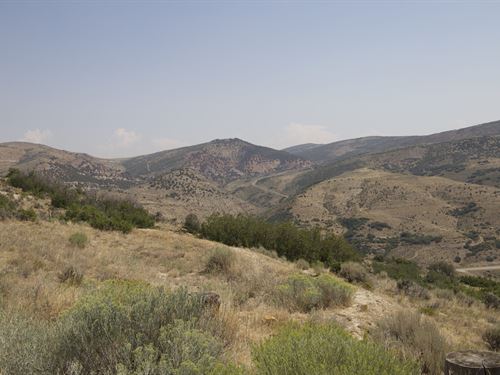 Hamilton 42 : Hamilton : Moffat County : Colorado