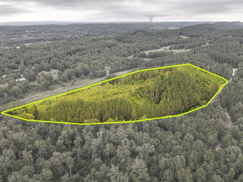 24 Acres in Meigs County, TN : Decatur : Meigs County : Tennessee