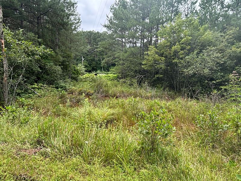10.88 Acres with Two Homes in Polk : Ducktown : Polk County : Tennessee