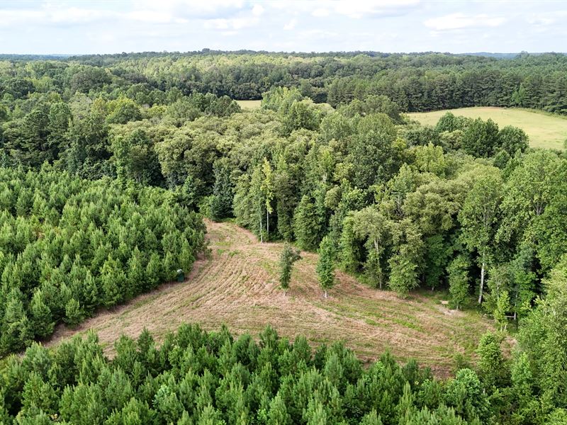 219 Acres in Prentiss County, MS : Booneville : Prentiss County : Mississippi