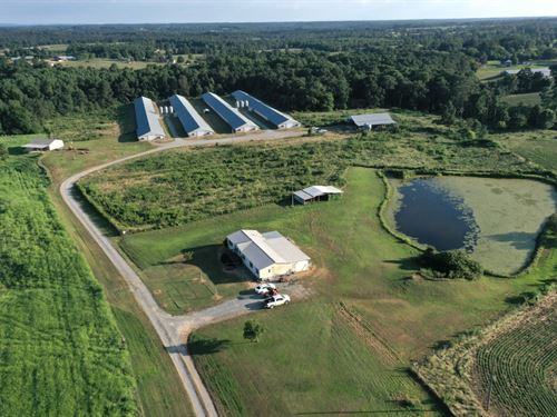 Salaibiak Farm, Dekalb County, AL : Rainsville : Dekalb County : Alabama