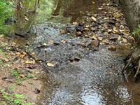 36.28 Acres, Lee County, AL : Opelika : Lee County : Alabama