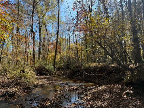 36.28 Acres, Lee County, AL : Opelika : Lee County : Alabama