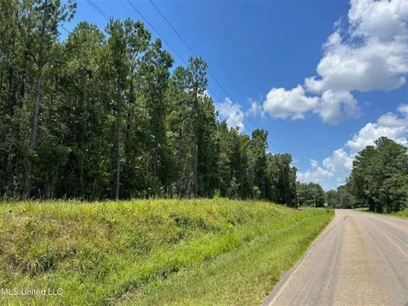 2.72 Acres in North Pike School Dis : Summit : Pike County : Mississippi