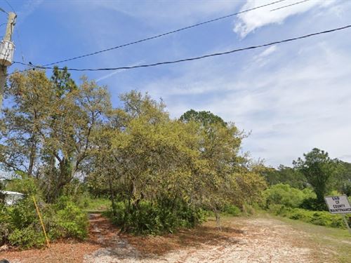 Tree-Filled Acre Just $327/Month : Pomona Park : Putnam County : Florida