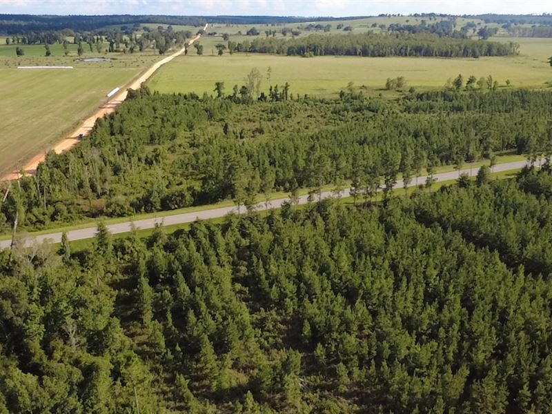 Laramore Road Tract : Marianna : Jackson County : Florida