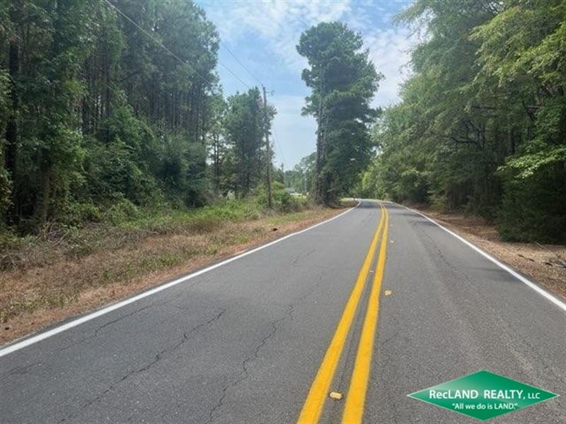 18.3 Ac, Wooded Tract for a Home : Heflin : Webster Parish : Louisiana