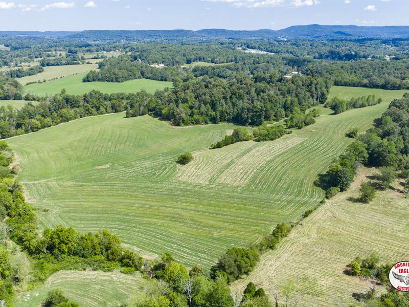 Prime 230 Ac., Farm and Homes : Livingston : Overton County : Tennessee