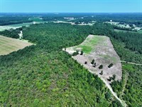 Large Timber and Agricultural Tract : Lumberton : Robeson County : North Carolina