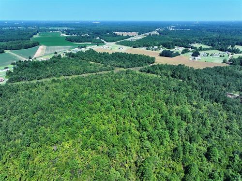 Timber & Agricultural Tract : Lumberton : Robeson County : North Carolina