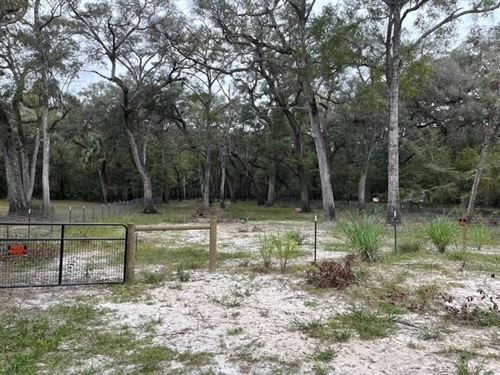 Cleared and Fenced : Branford : Suwannee County : Florida