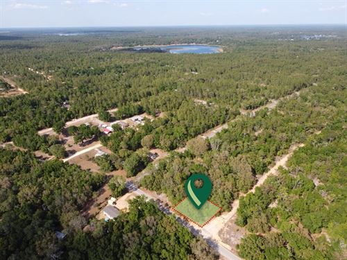 Your Slice of Florida Freedom : Interlachen : Putnam County : Florida