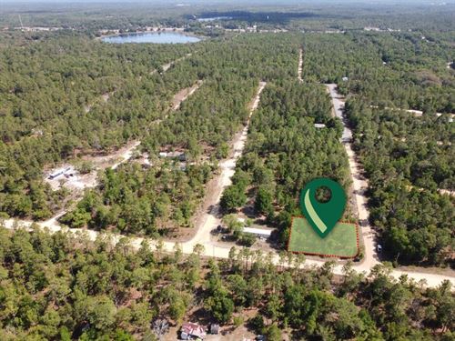 Peaceful Interlachen Hideaway : Interlachen : Putnam County : Florida
