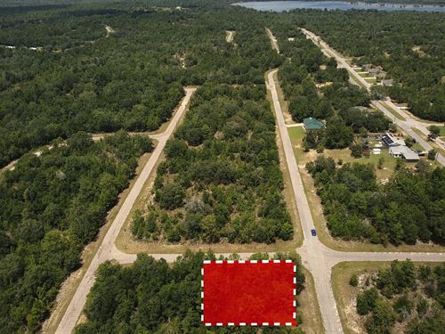 Corner Lot in Sunny Hills : Chipley : Washington County : Florida