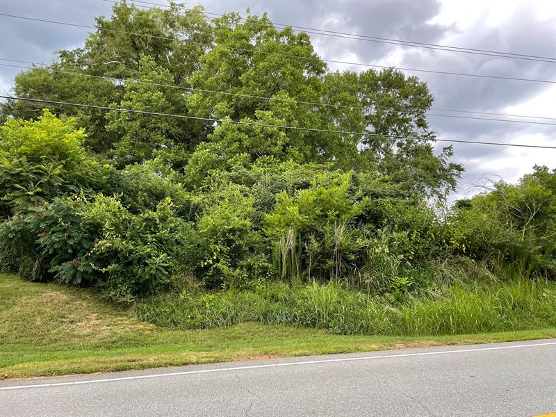.25 Acres On E. South 2nd Street : Seneca : Oconee County : South Carolina