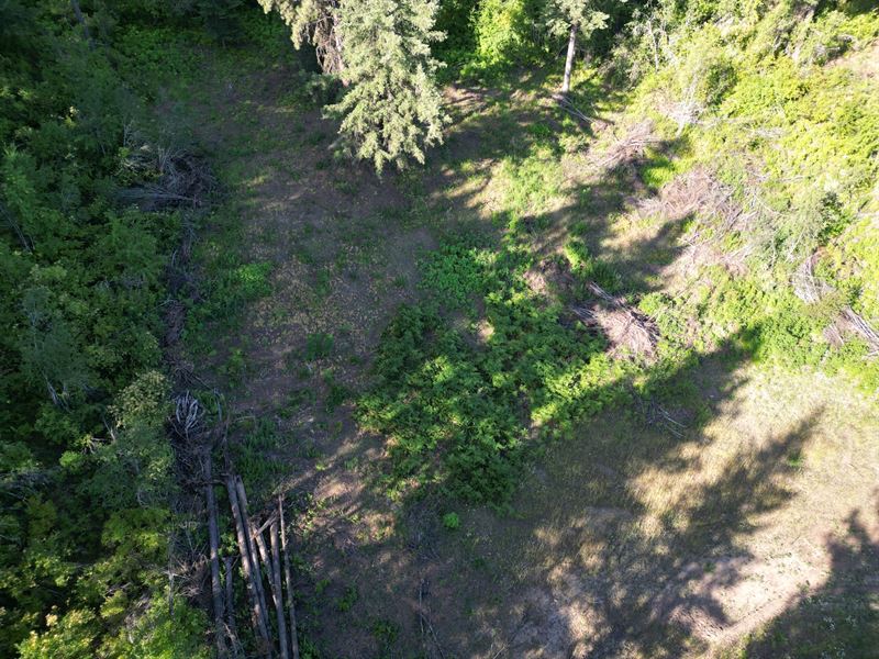 714 Mountain Top Drive : Orofino : Clearwater County : Idaho