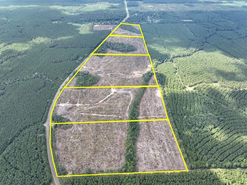 22 Acres, T-1, FM 92, 287044-045 : Spurger : Tyler County : Texas