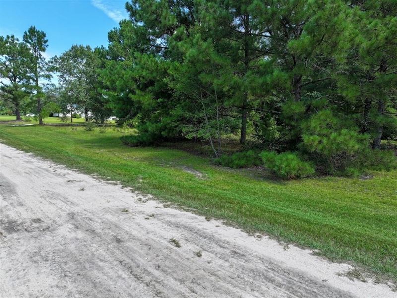 10.12 Acres of Buildable Land in Le : Cameron : Lee County : North Carolina