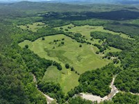 474 Acres In Montgomery County, AR : Oden : Montgomery County : Arkansas