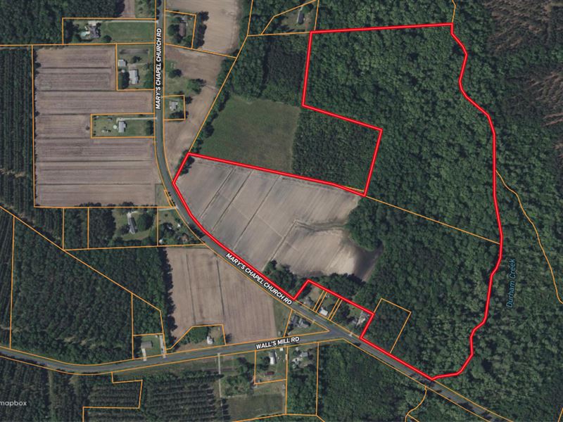 59 Ac of Farmland, Timber & Hunting : Aurora : Beaufort County : North Carolina