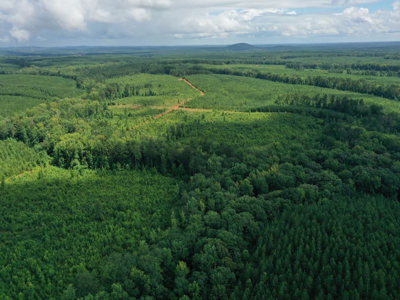 Camp Hill 1 : Camp Hill : Tallapoosa County : Alabama
