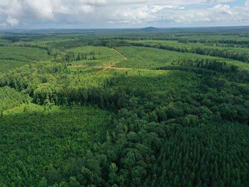 Camp Hill 1 : Camp Hill : Tallapoosa County : Alabama