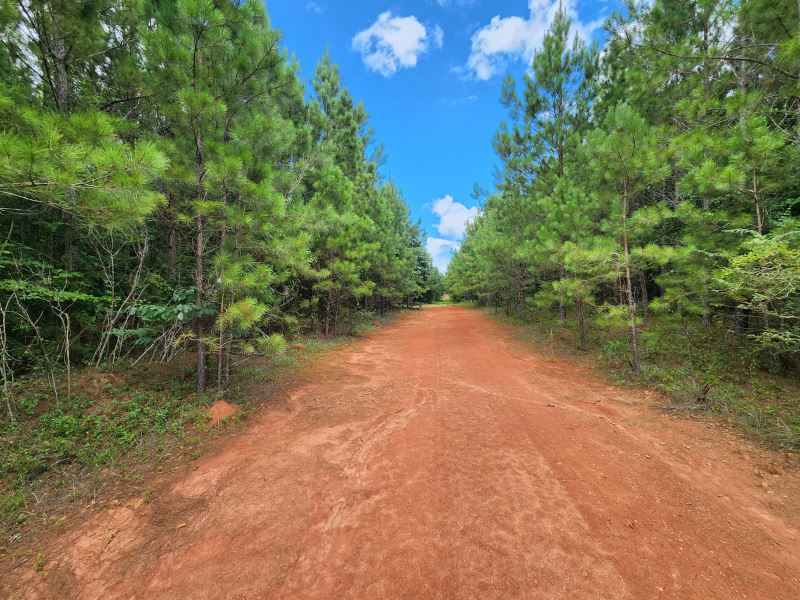 Camp Hill 4 : Camp Hill : Tallapoosa County : Alabama
